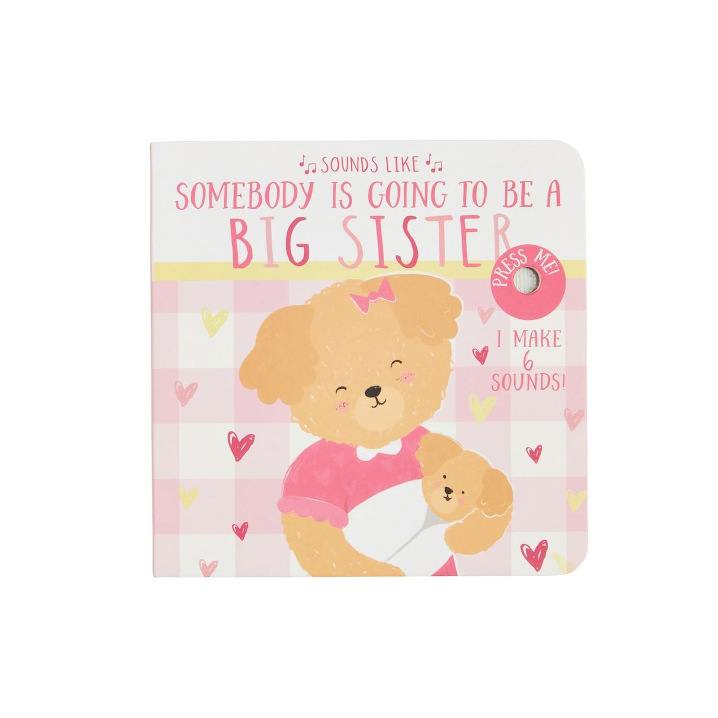 Sounds Like Big Sister / Big Brother Book