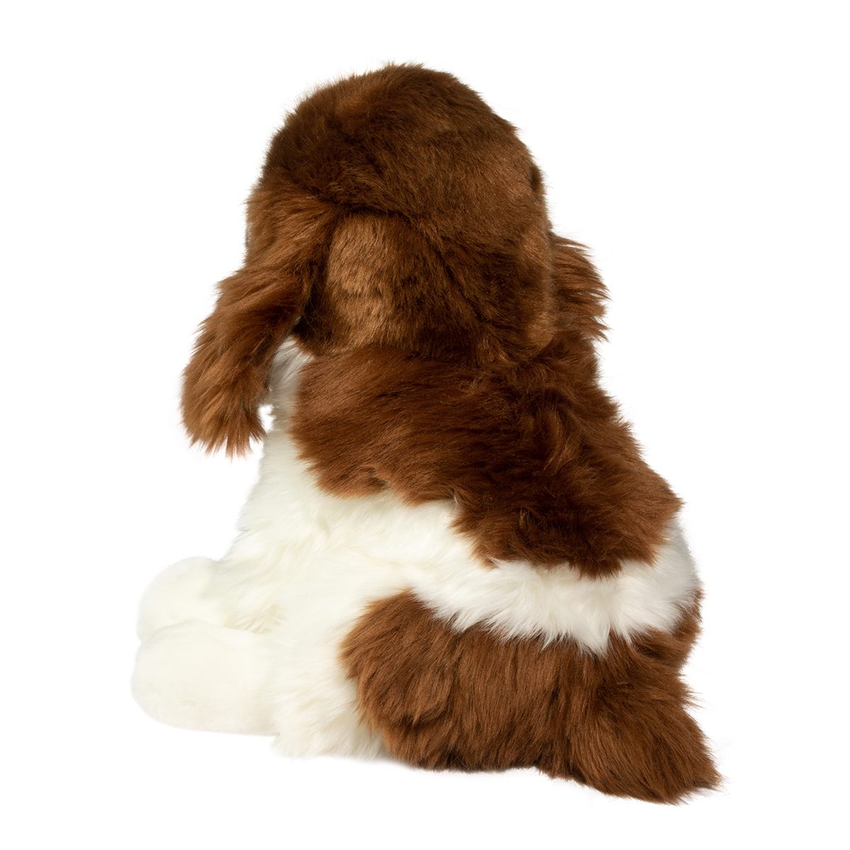 Chip the Springer Spaniel