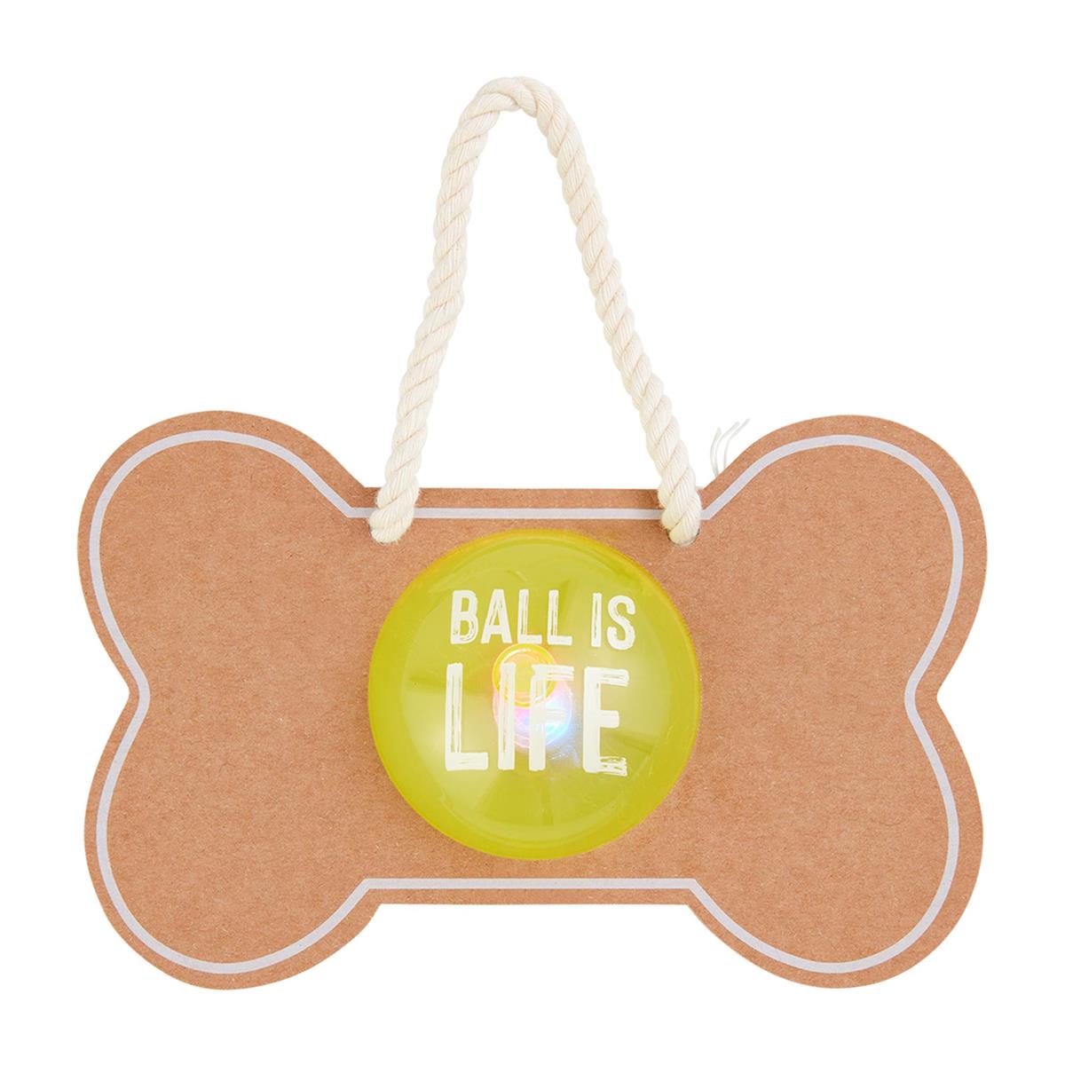 Light Up Dog Ball