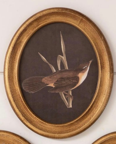 Framed Prints – Gold Birds