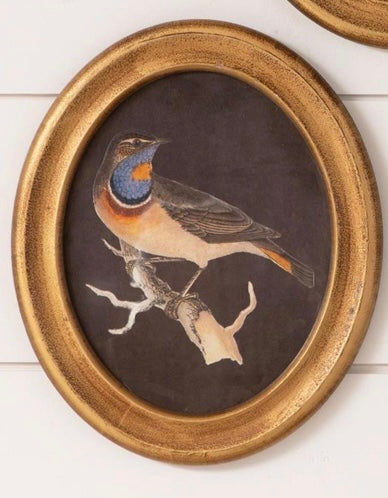 Framed Prints – Gold Birds