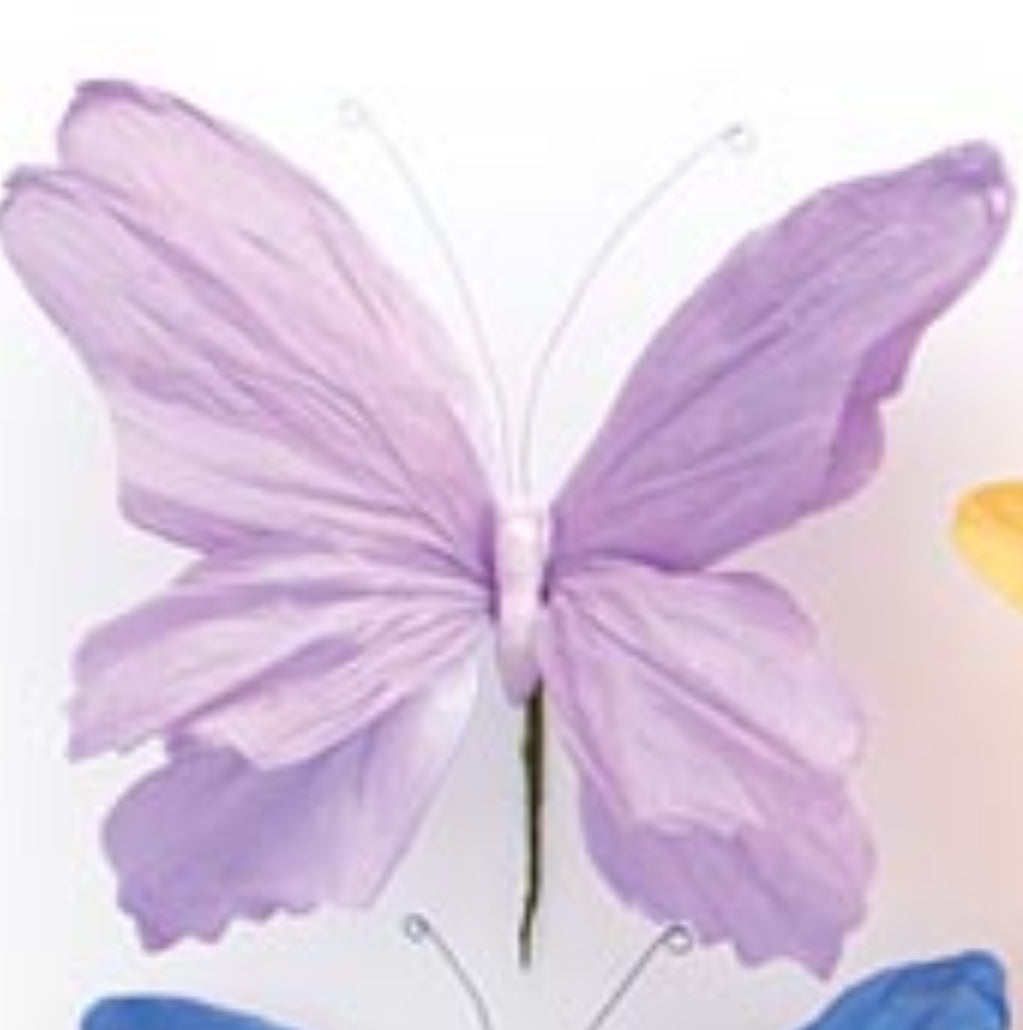 b+B Butterfly Picks