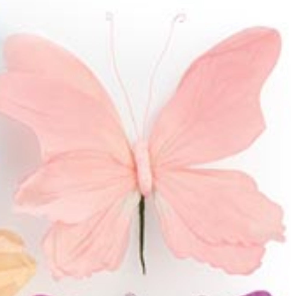 b+B Butterfly Picks