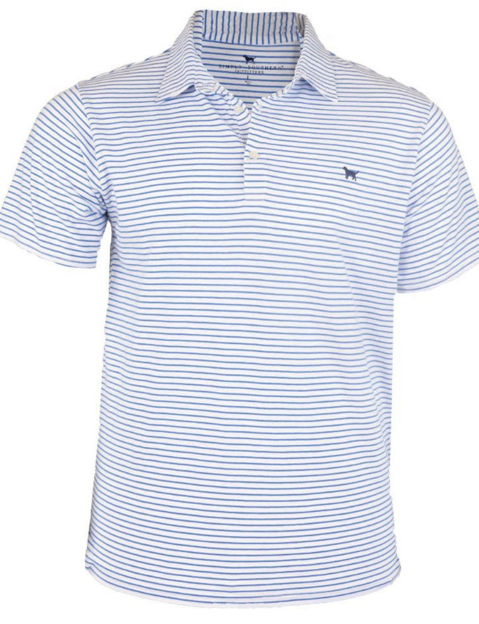 Blue Striped Polo