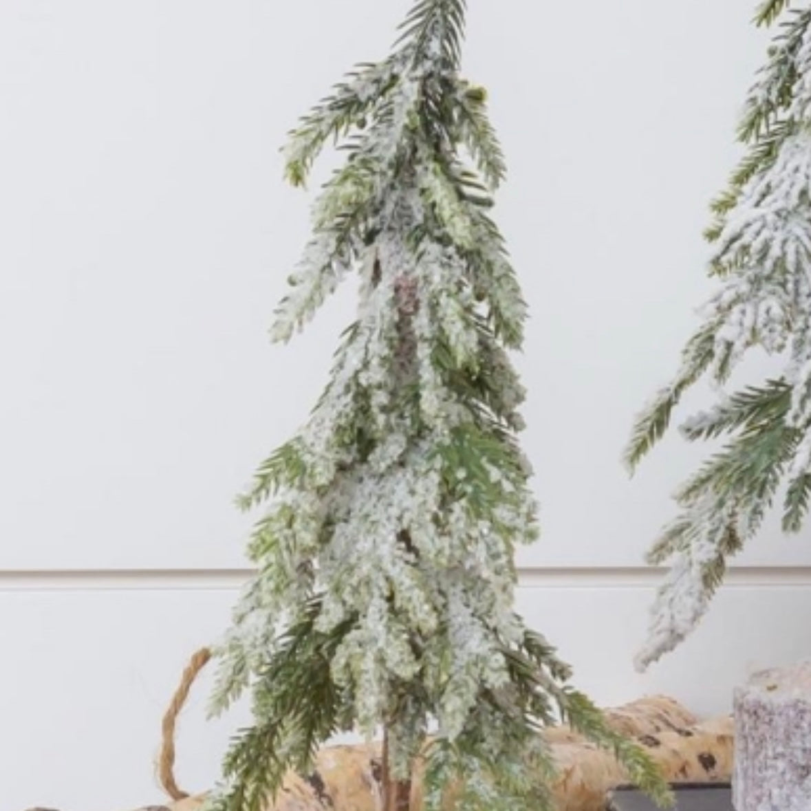 Mini Evergreen Trees