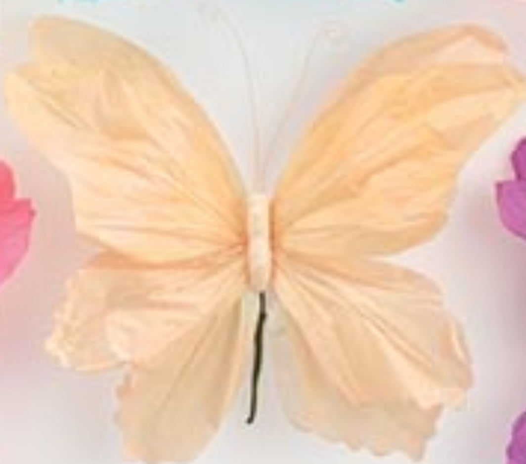 b+B Butterfly Picks