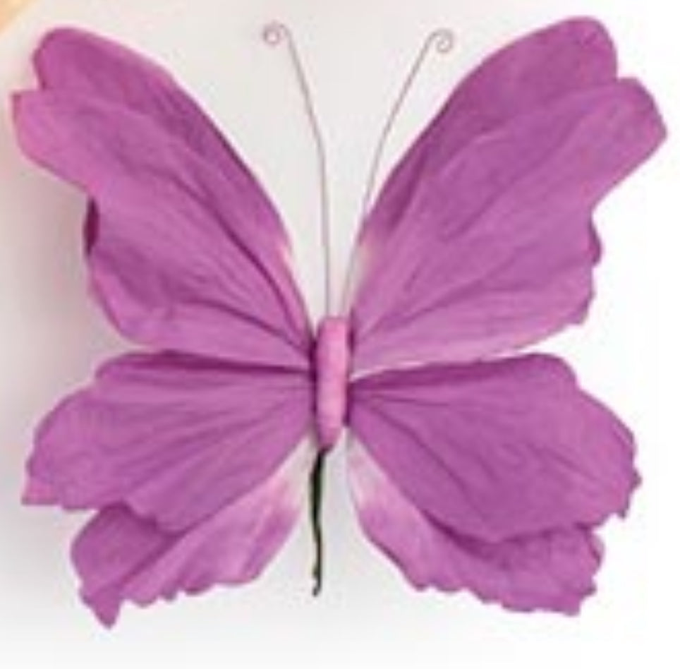b+B Butterfly Picks