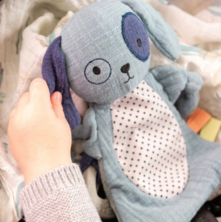 Baby Crinkle Toy — Blue Puppy