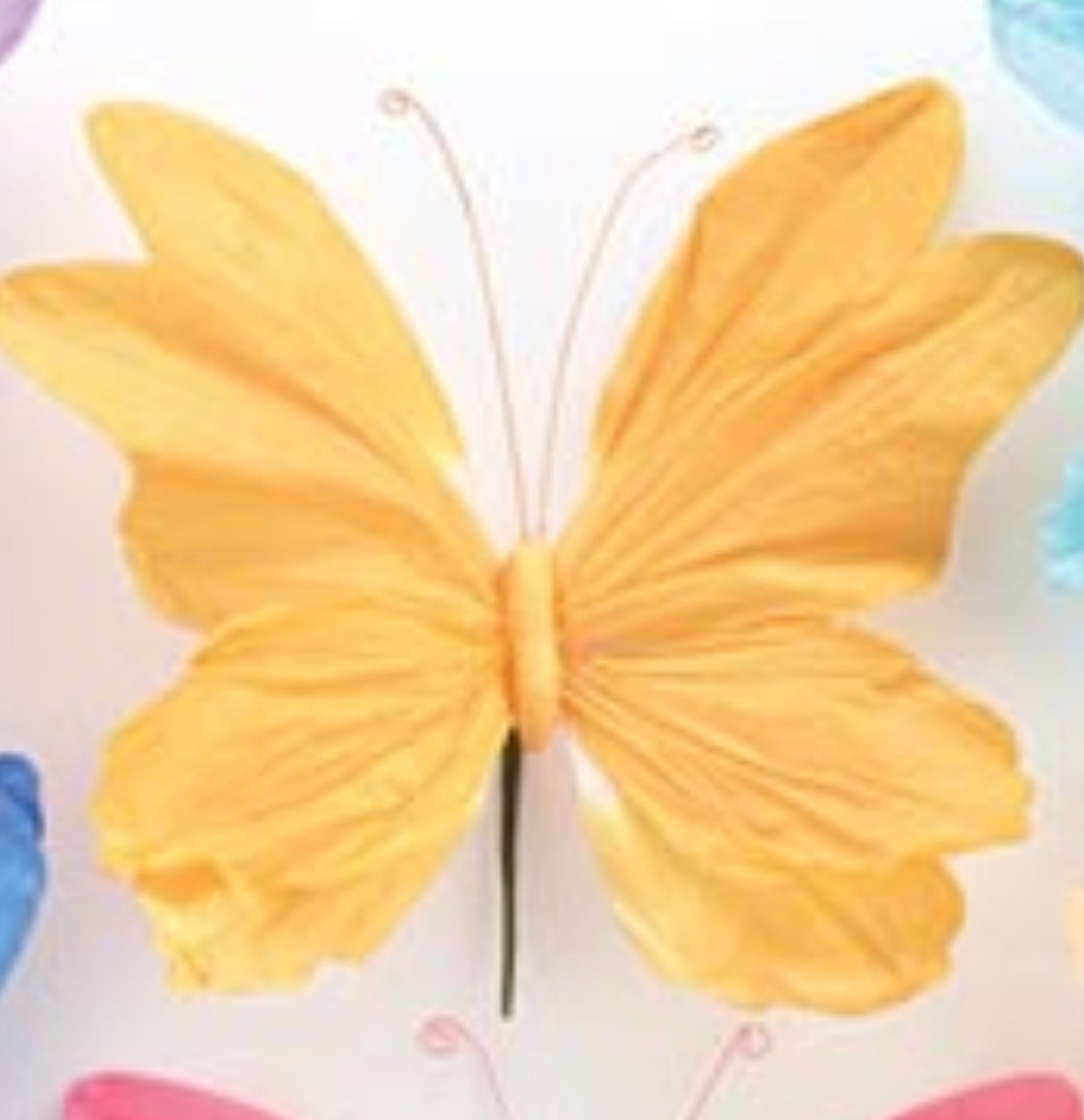 b+B Butterfly Picks