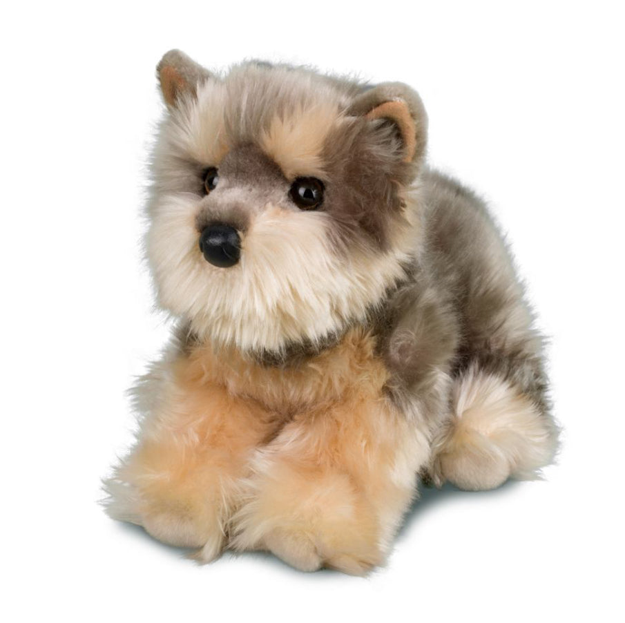 Yetti — Yorkie