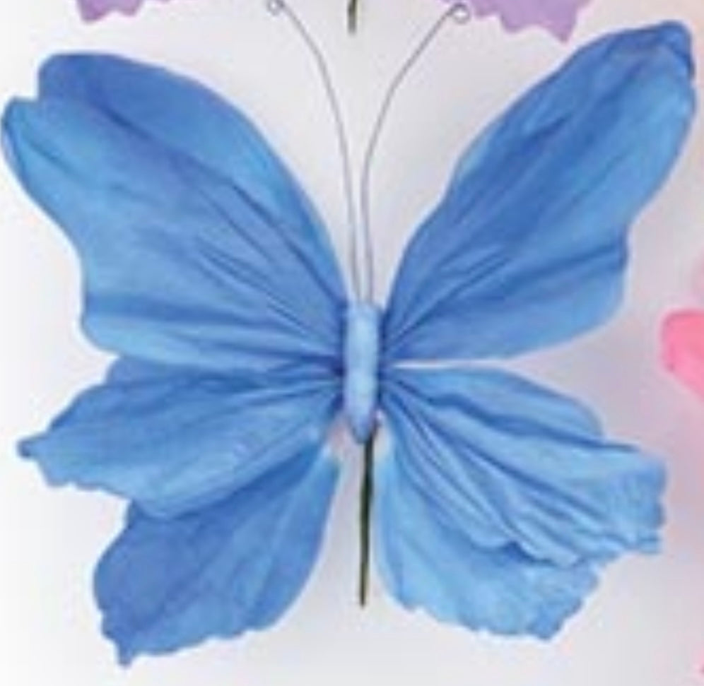 b+B Butterfly Picks