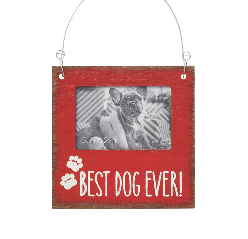 Best Dog Ever Ornament — Red Wash