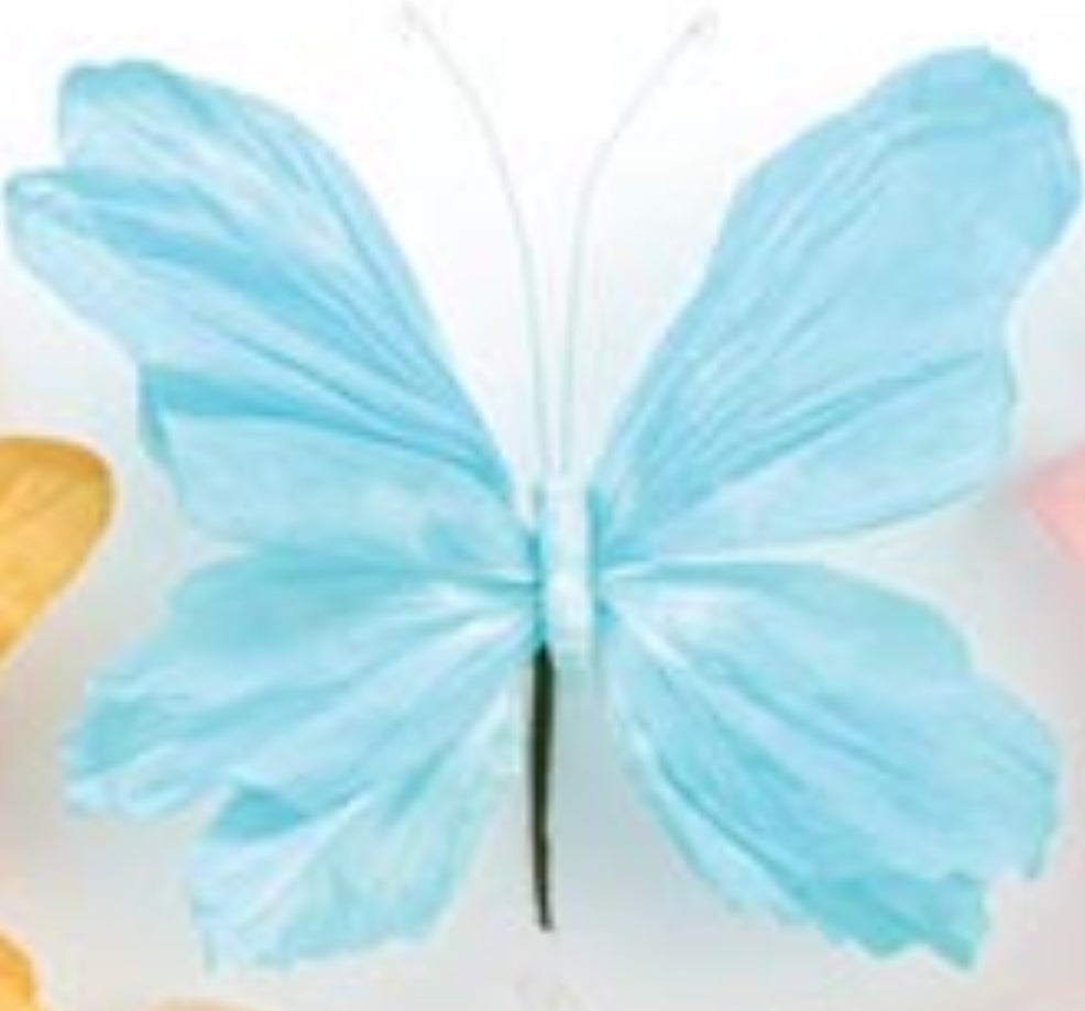 b+B Butterfly Picks