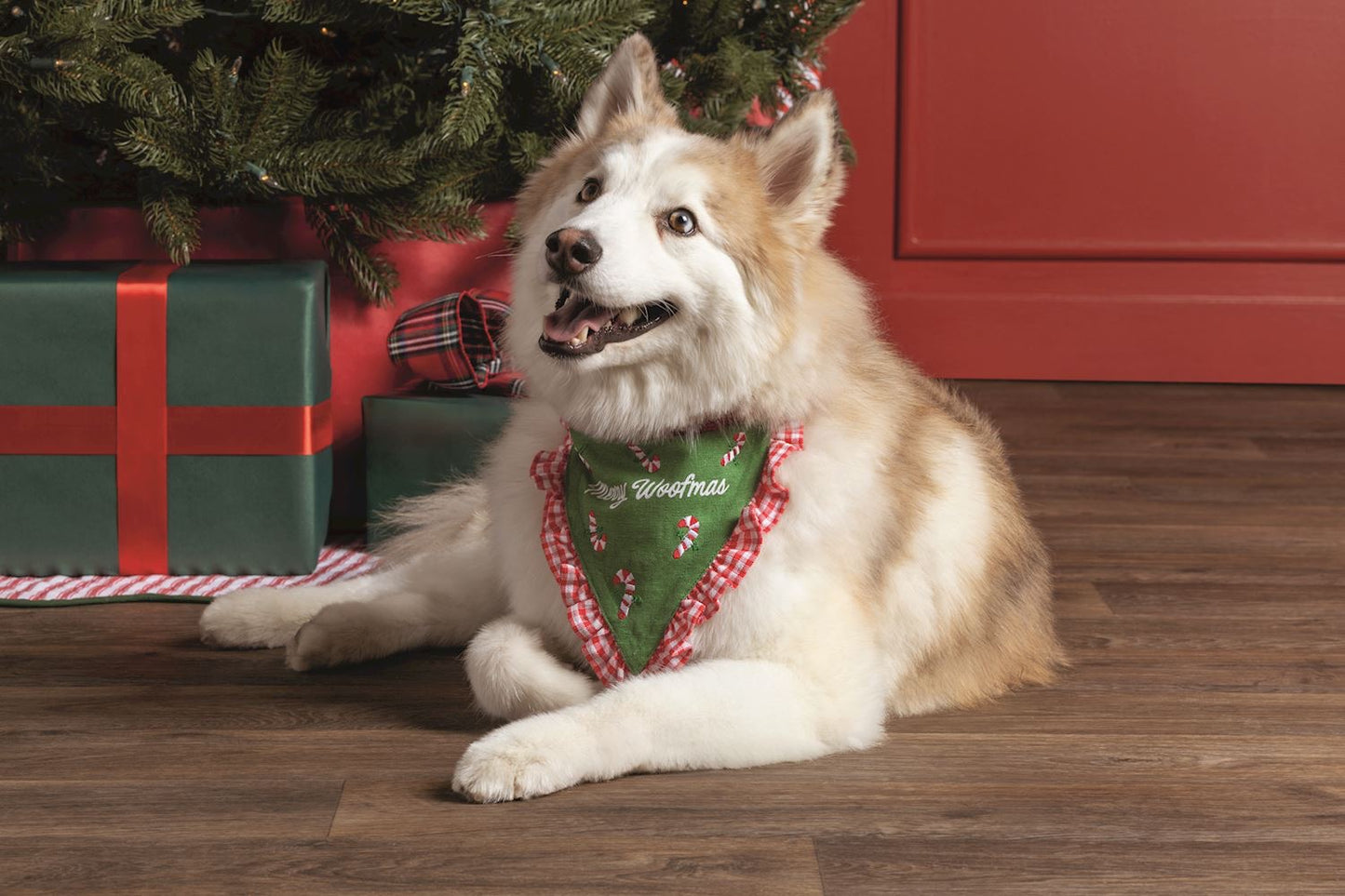 Christmas Pet Bandanas