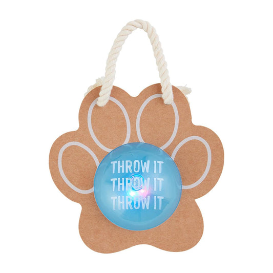 Light Up Dog Ball