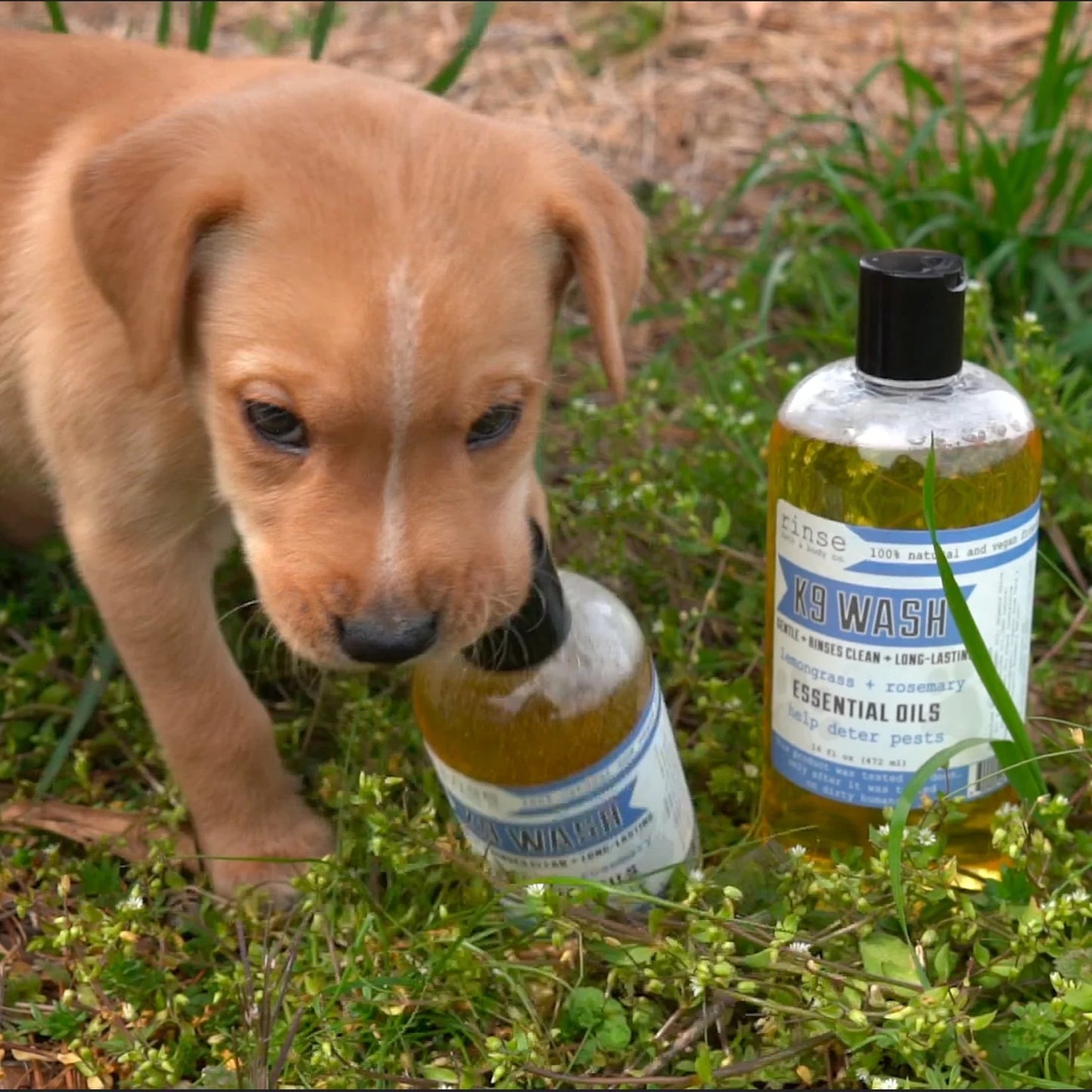k9 Wash - 8 oz