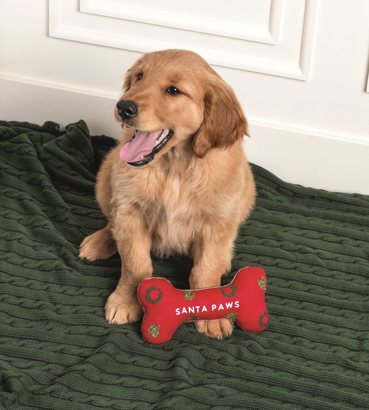 Embroidered Dog Bone Toys