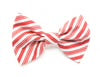 Candy Cane Stripe Pet Bow tie