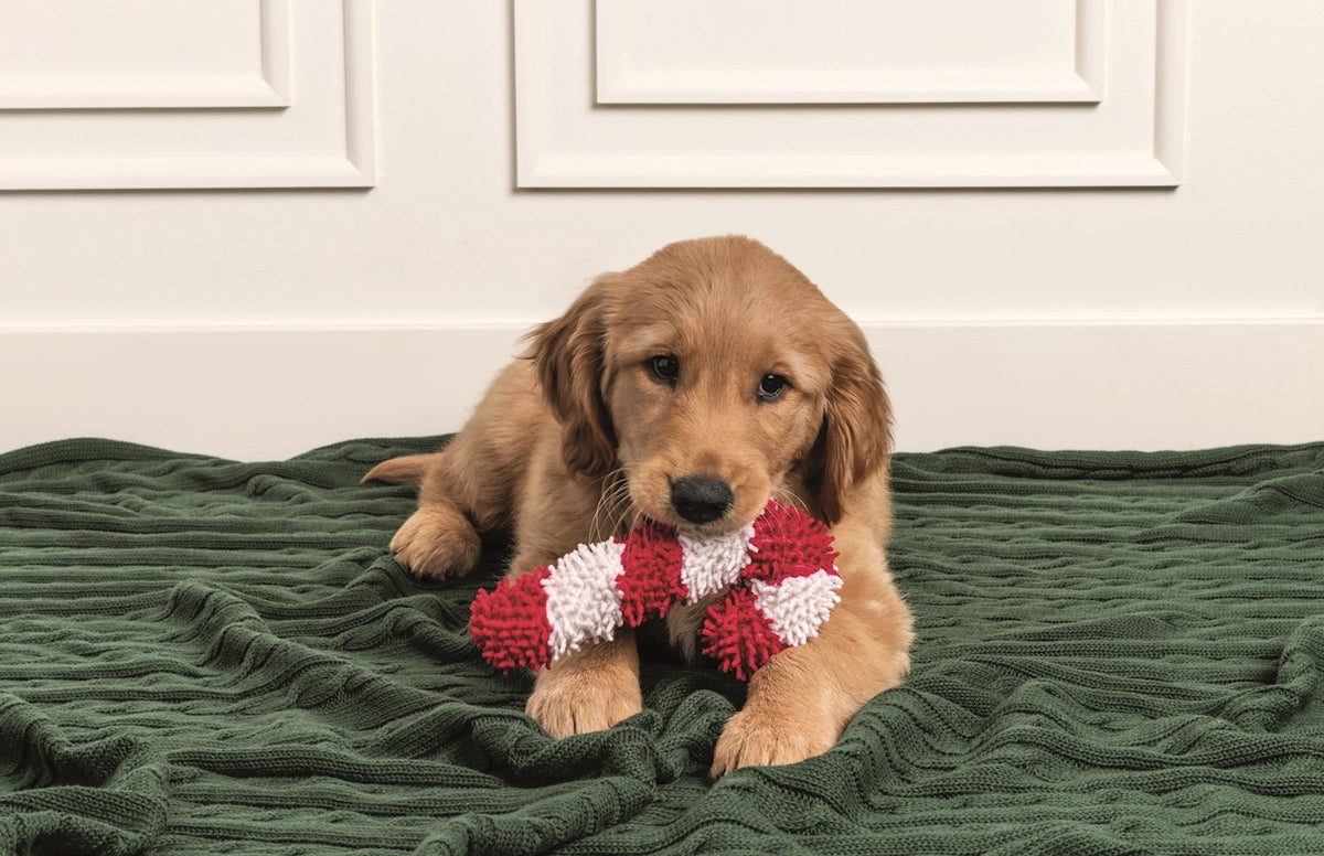Candy Cane Pet Toys