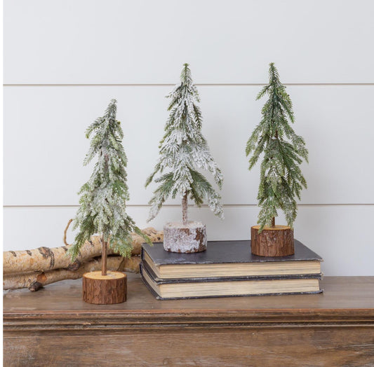 Mini Evergreen Trees