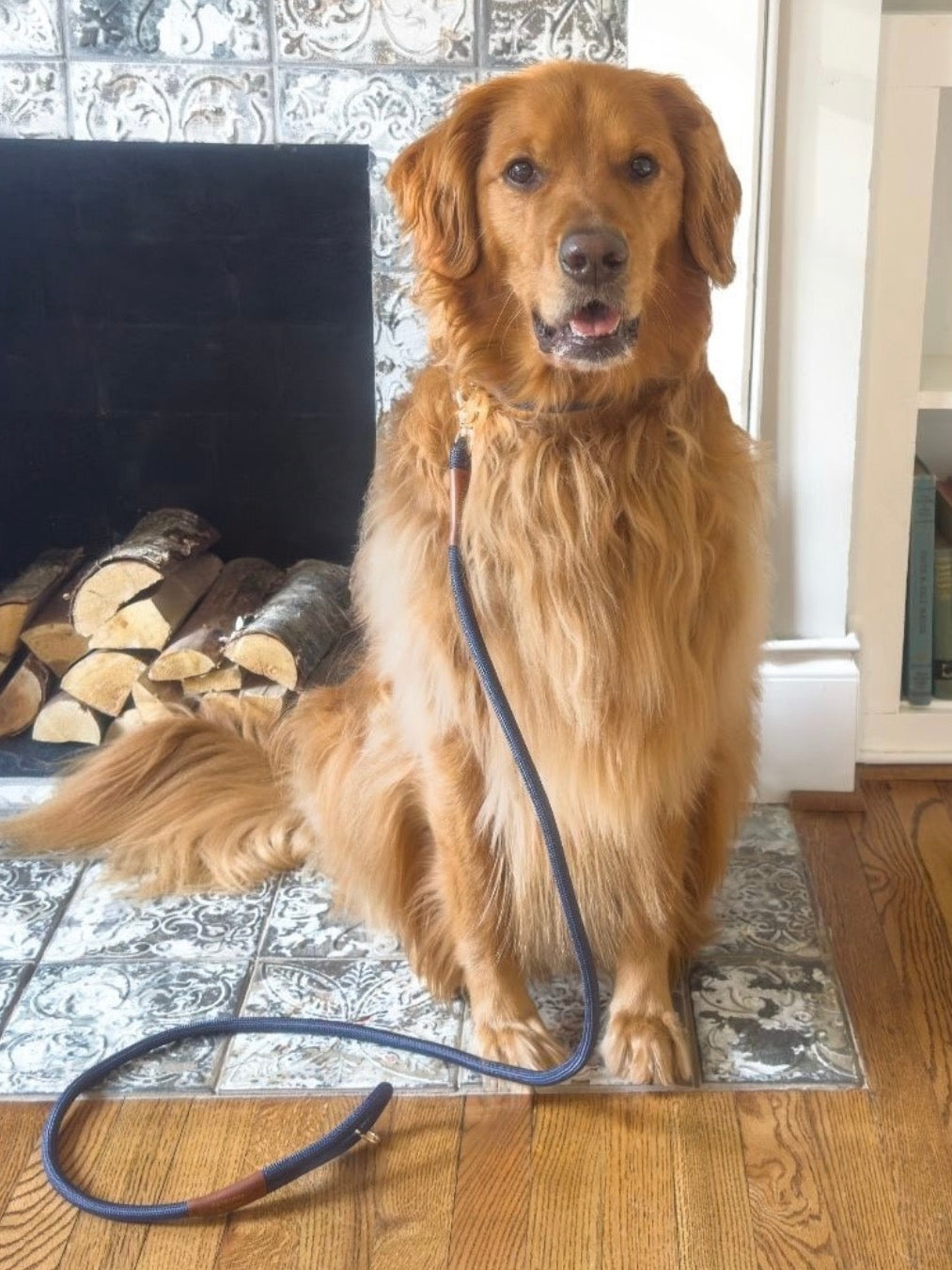 Simply Southern Leashes