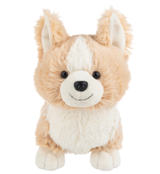 Corgi Webkinz