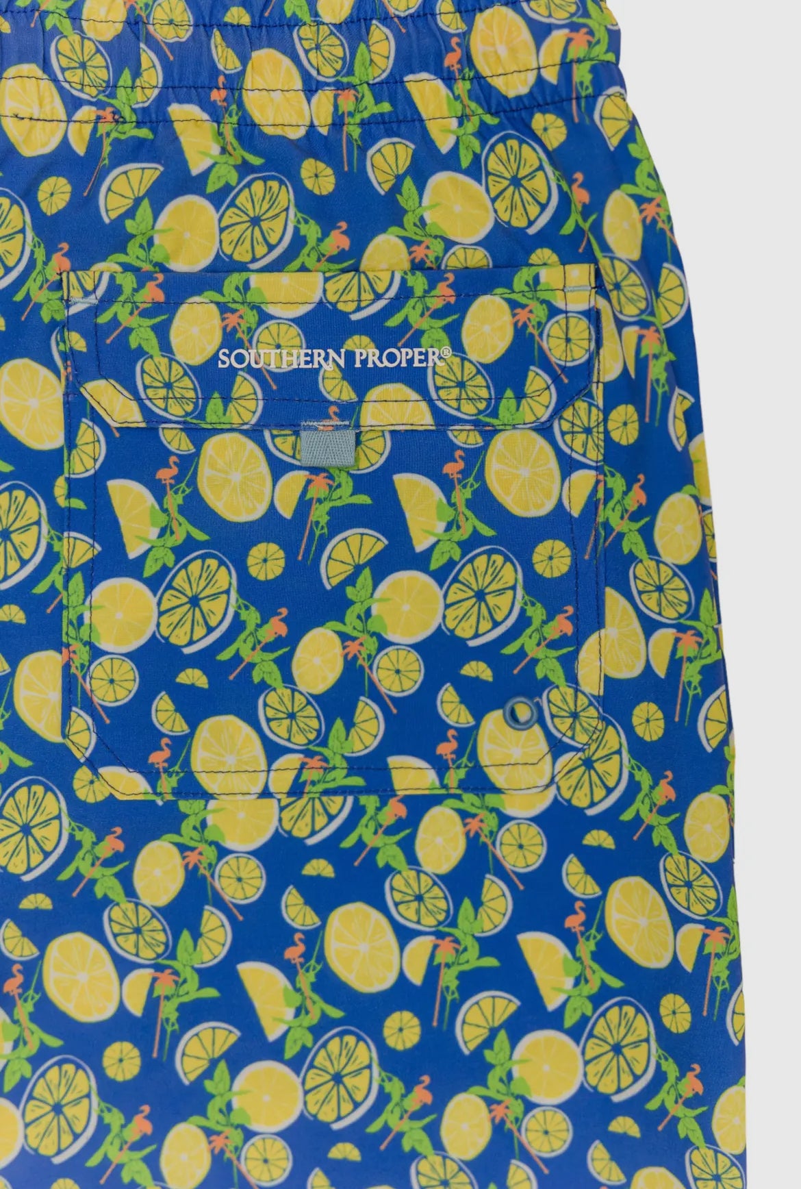 Swim Shorts — Just Add Lemons