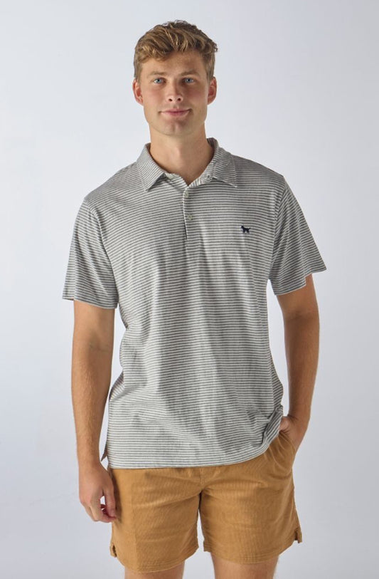 Gray Striped Polo