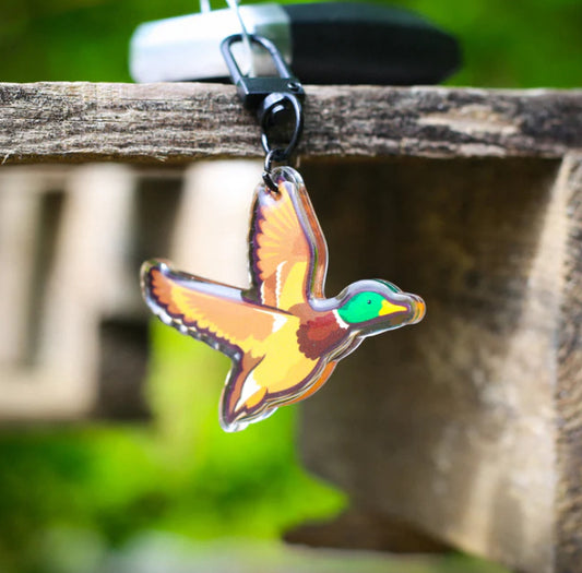 Keychain — Mallard Duck