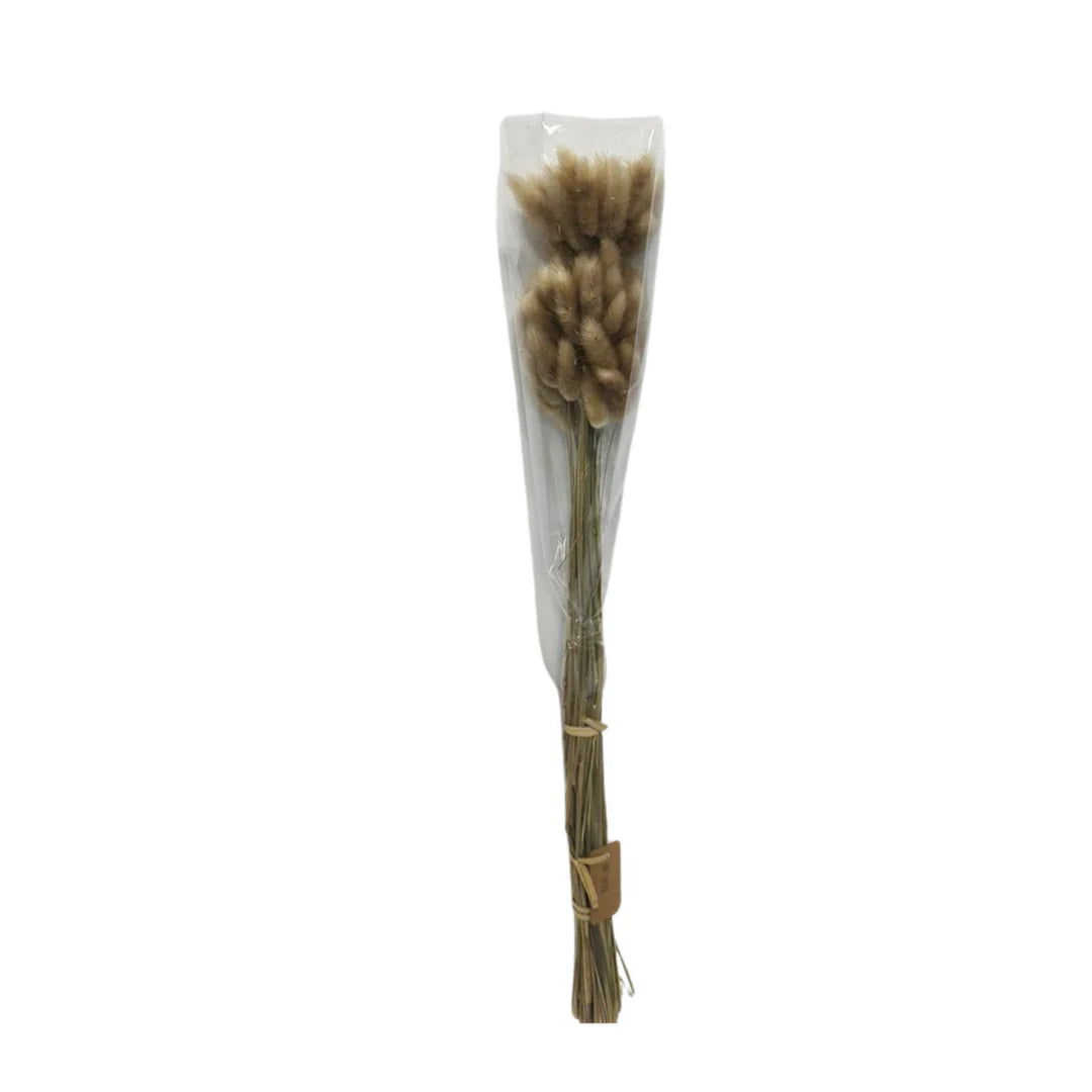 Dried Bunny Tails