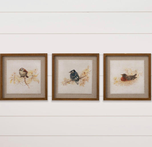 Framed Prints – Sepia Birds in Nests