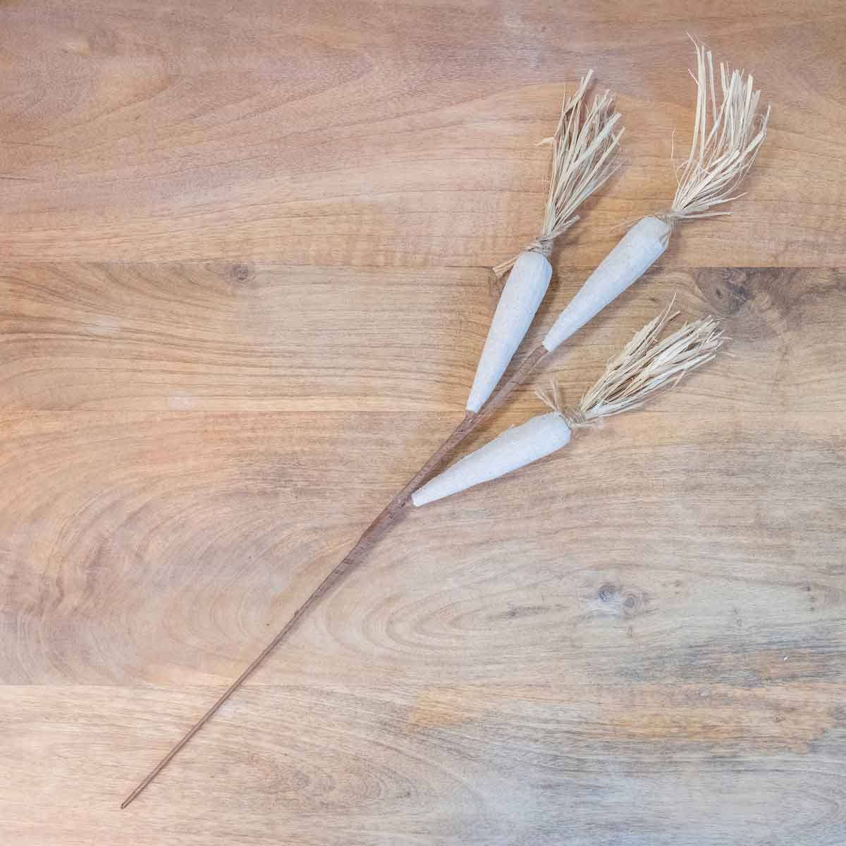 Farmhouse Carrot Stem