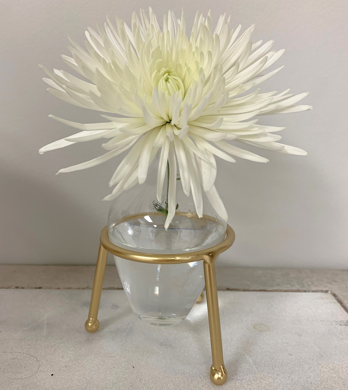 4” Glass Vase Display